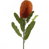 Article Fleur Artificielle Banksia Orange Automne Décoration Fleurs Funéraires 64cm