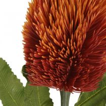 Article Fleur Artificielle Banksia Orange Automne Décoration Fleurs Funéraires 64cm