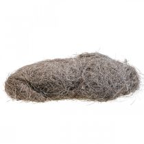 Article Matériel artisanal fibres de palmier palmier palmyre lavé à la chaux 1kg