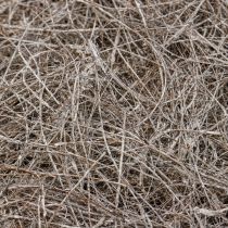 Article Matériel artisanal fibres de palmier palmier palmyre lavé à la chaux 1kg