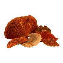 Article Éponge d&#39;arbre orange 1kg