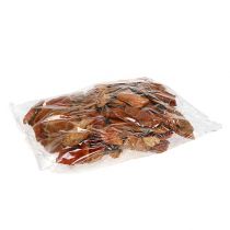 Article Éponge d'arbre orange 1kg