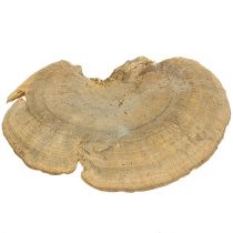 Arbre éponge nature 1kg