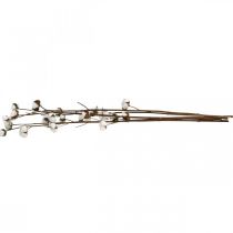 Article Branche de coton, branche décorative en coton, vrai coton L80cm 5 pièces