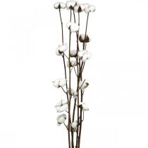 Article Branche de coton, branche décorative en coton, vrai coton L80cm 5 pièces