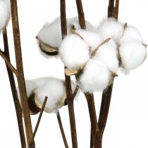 Article Branche de coton, branche décorative en coton, vrai coton L80cm 5 pièces