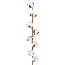 Article Branche de coton artificielle avec 8 vraies fleurs, 78 cm