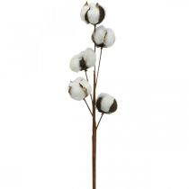 Article Décoration branche en coton Branche décorative en coton véritable 5 têtes 50cm