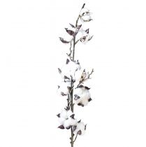 Article Branche de coton fleurs de coton artificielles marron blanc L95cm