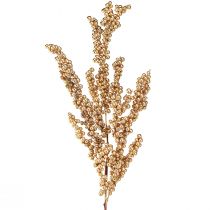 Article Branche de baies aux baies dorées Branche de Noël 70cm
