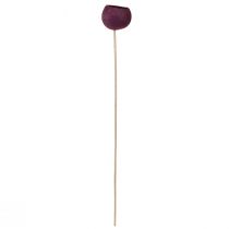 Article Cloche sur pied décoration sèche fleuristerie funéraire vin rouge 15 pcs