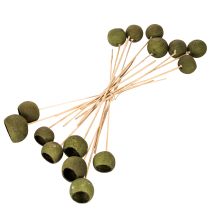 Article Cloche en forme de coupe sur tige, verte, fleurs exotiques séchées, 5 cm, 15 pièces