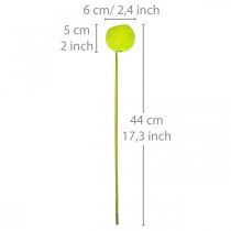 Article Coupe cloche sur bâton Vert Exotiques séchés 15 pcs