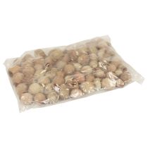 Article Bellgum capsule de fruit de cloche fruit décoration naturelle marron 500g