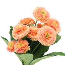 Marguerite artificielle couleur pêche 24cm 2pcs