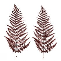Article Fougère décorative fougère de montagne feuilles séchées rouge vin 50cm 20 pcs
