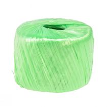 Article Ficelle raphia artificiel vert clair Ficelle jardinier 5mm 400m