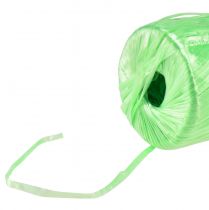 Article Ficelle raphia artificiel vert clair Ficelle jardinier 5mm 400m