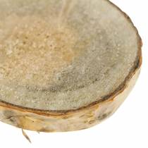 Tranches de bouleau rondes naturelles 5cm 1kg pour décoration avec écorce