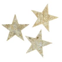 Article Étoiles de bouleau 9cm 70 pcs