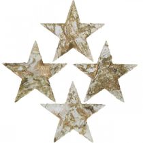 Article Étoile décorative en écorce de bouleau étoiles de bouleau naturel, doré 6,5 cm 30 pcs