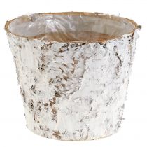 Article Pot déco bouleau blanchi cache-pot Ø18cm H15cm 2pcs