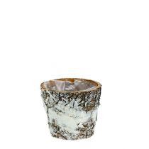 Article Pot bouleau mini cache-pot blanc Ø7cm H7cm 10pcs