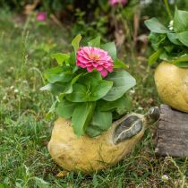 Article Poire à planter, décoration d&#39;automne, vase en béton L19cm H15.5cm