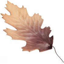 Feuille de chêne rouge feuilles d&#39;automne déco feuilles déco 13×19cm 12pcs