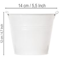 Article Seaux en fer blanc Ø14cm H12cm, lot de 6