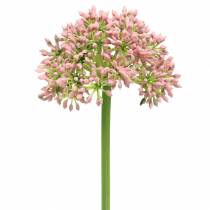 Article Allium artificiel Rose 55cm