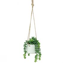 Article Paniers suspendus plantes succulentes artificielles vertes assorties 18cm 3pcs