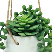 Article Paniers suspendus plantes succulentes artificielles vertes assorties 18cm 3pcs