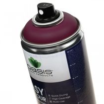 OASIS® Easy Color Spray, peinture en aérosol Erika 400ml