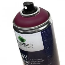 Article OASIS® Easy Color Spray, peinture en aérosol Erika 400ml