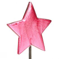 Article Bâtonnets de fleurs Étoiles Décoration Baies Ø7cm – 2e choix – 24 pcs