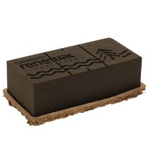Article Brique de mousse florale 1/1 OASIS® Renewal® Biolit® 24 cm (2 pièces)