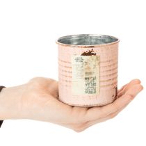 Article Pot de fleurs décoratif, motif saumon, boîte à herbes en métal, Ø8 cm, H7,5 cm