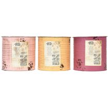 Article Pot de fleurs vintage de 15 cm (lot de 3) pour la décoration du salon et du bureau
