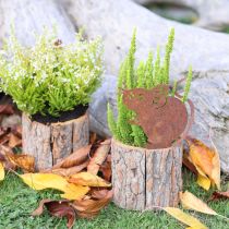 Article Pot de fleurs en bois écorce et rouille souris H24cm