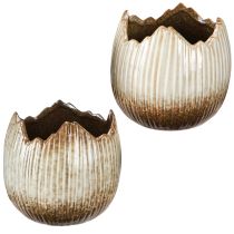 Article Pot de fleurs en céramique œuf cassé crème marron Ø11,5 cm 2 pcs