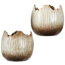Article Pot de fleurs en céramique œuf cassé crème marron Ø11,5 cm 2 pcs