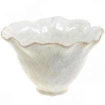 Article Pot de fleurs en céramique, pot de fleurs, pot de fleurs blanc Ø19cm