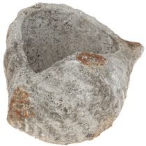 Article Pot de fleurs coquillage pierre gris antique maritime 22×18×13cm