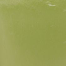 Article Pot à orchidées, pot de fleurs, vase en plastique, vert, 16,5 cm de hauteur, lot de 2