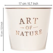 Article Pot de fleurs en zinc Art of Nature Crème Ø17,5 cm H15 cm