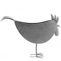 Article Cache-pot poulet métal oiseau zinc décoration métal 51×16×37cm