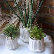 Cache-pot en céramique à rainures blanc Ø12cm H10.5cm
