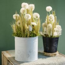Article Jardinière pot de fleur pissenlit blanc Ø12,5cm H14cm