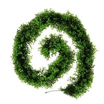 Guirlande Buis Vert L170cm